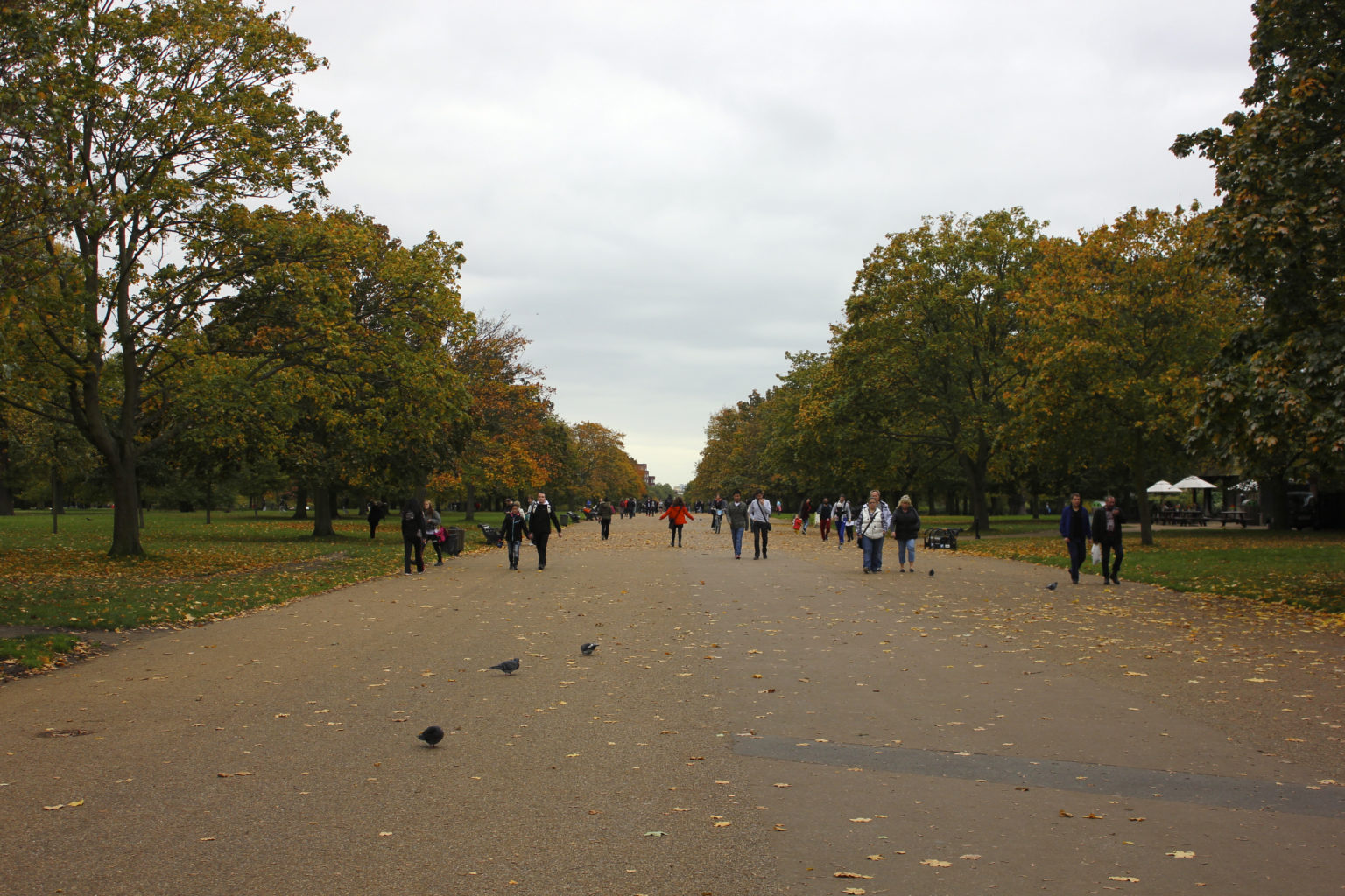 Hyde park in London in autumn